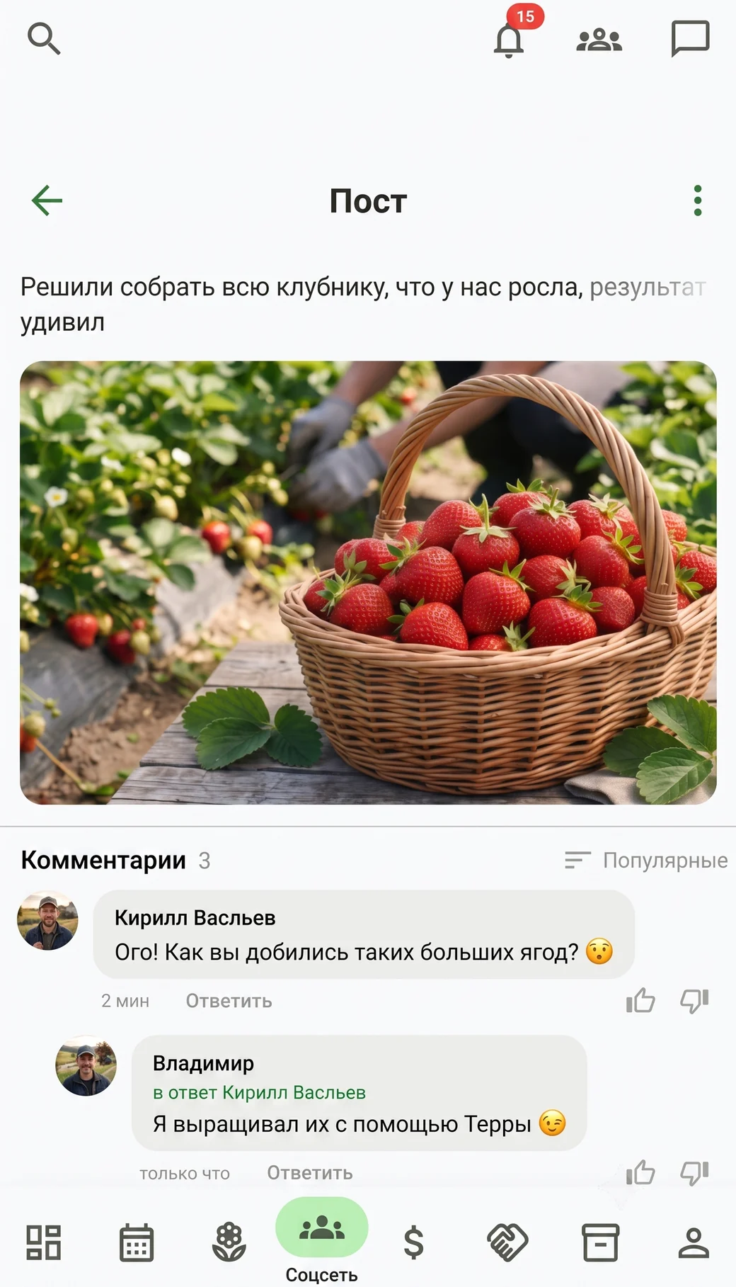 Социальная сеть Terra: посты о урожае и комментарии